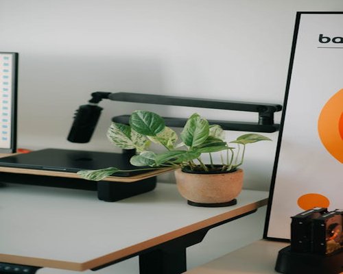 A minimalist office desk with a plant